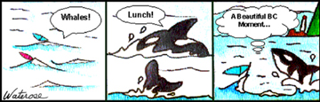 Cartoon